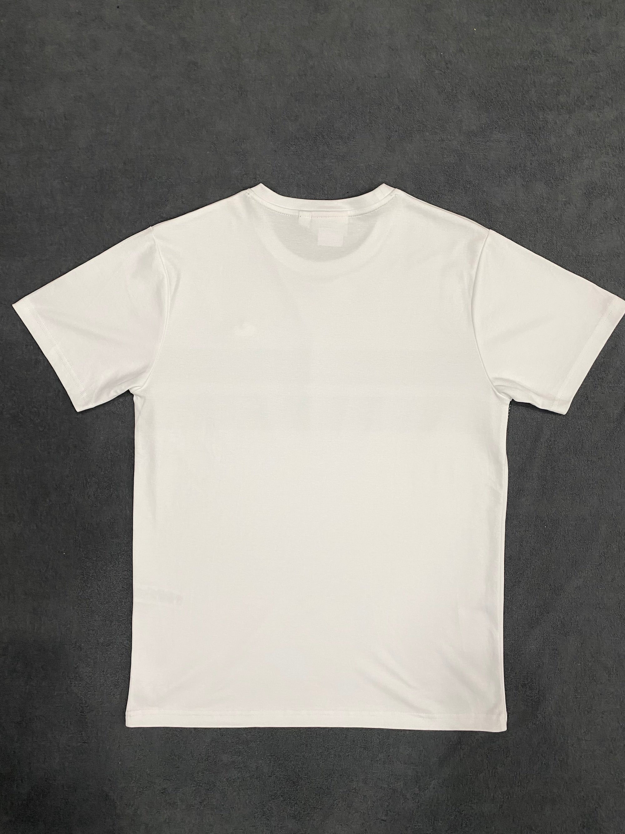 CAMISETA MALHA PIMA LCST - BRANCA/VERDE